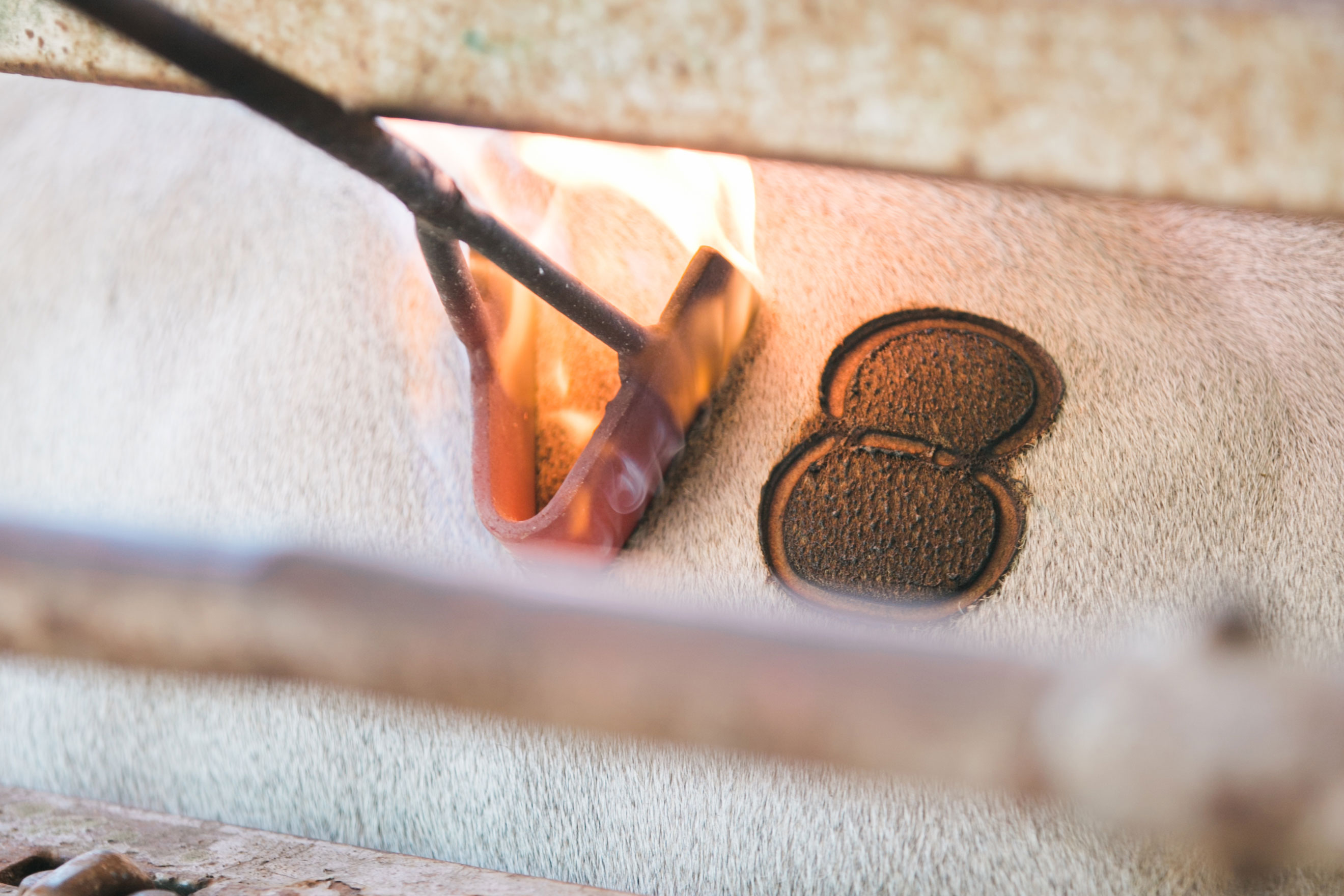 Cattle branding at V8 Ranch