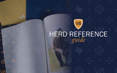 The Making of the 2021 V8 Ranch Herd Reference Guide