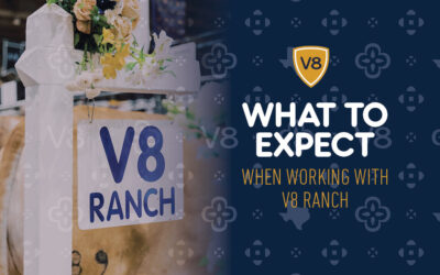 What to Expect When Working With V8 Ranch?