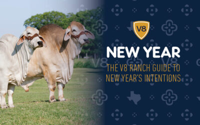 The V8 Ranch Guide to New Years Intentions