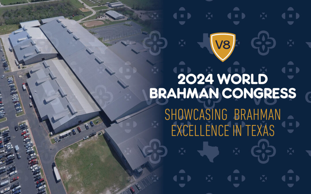 2024 World Brahman Congress: Showcasing Brahman Excellence in Texas