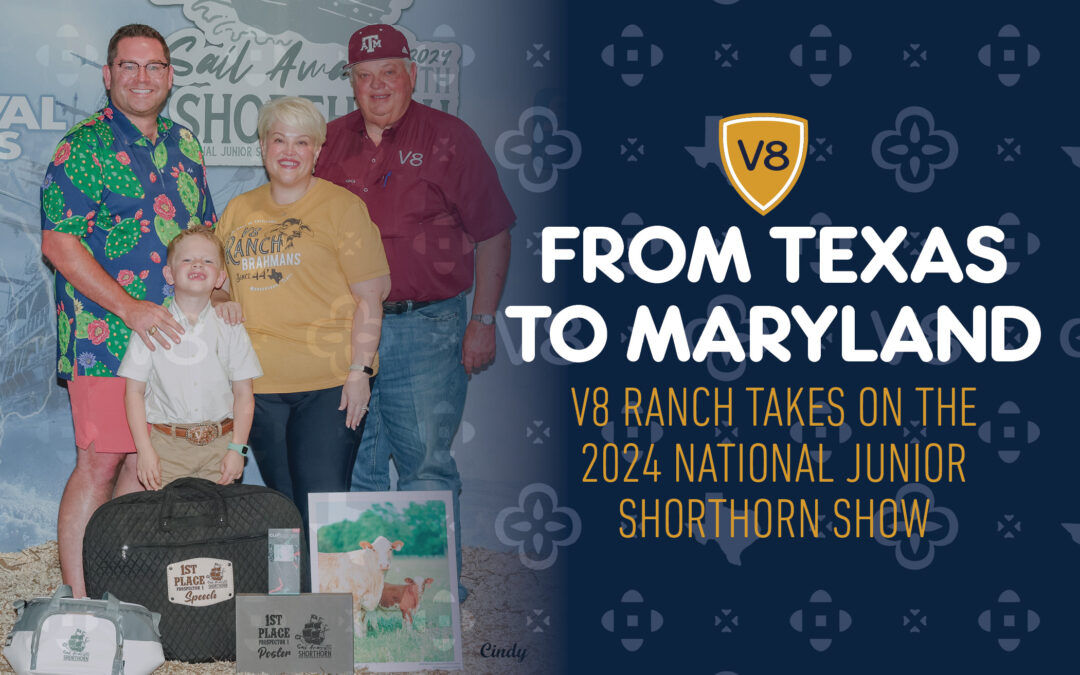 From Texas to Maryland: V8 Ranch Takes on National Junior Shorthorn Show 2024