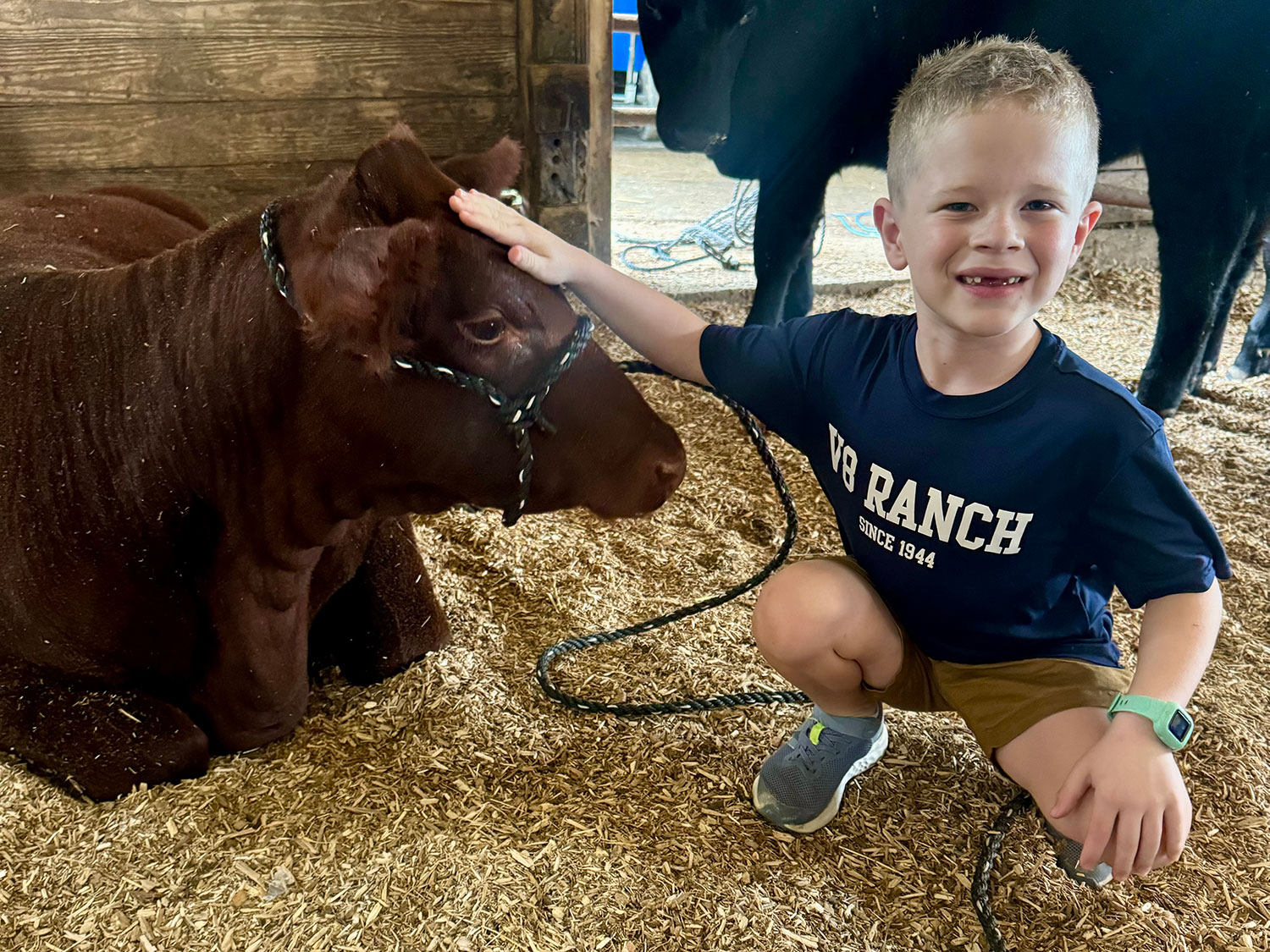 Jim Williams & Neumayr Family of V8 Ranch at the 2024 Shorthorn Junior National Show Awards Banquet