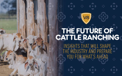 Our 5 Predictions for Cattle Ranching in 2025